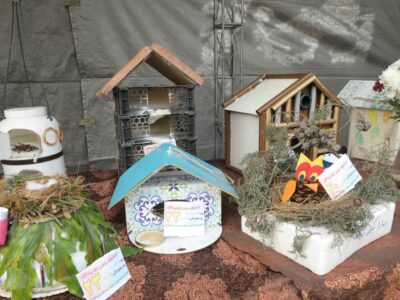 جشنواره مهربانی با پرندگان در منطقه۲ برگزار شد