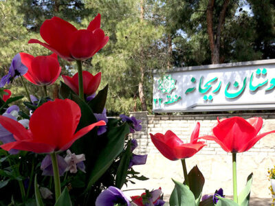 کلنگ‌ بزرگ‌ترین بوستان بانوان غرب تهران امروز به زمین می‌خورد