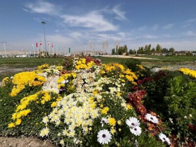 شهریار نیوز – اجرای طرح‌های زیبای گلکاری پاییزی در سطح تبریز