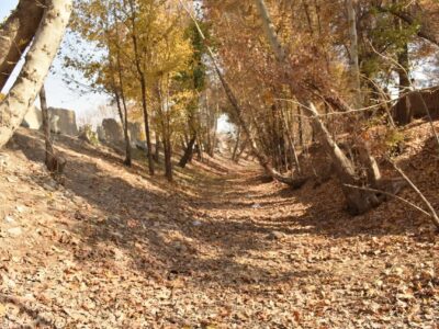جمع‌آوری روزانه ۳ تن برگ پاییزی در منطقه ۹ شهرداری اصفهان