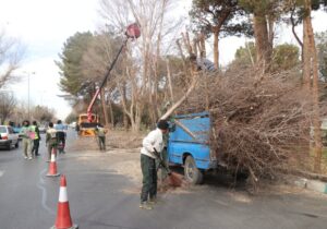 اعتبار بیش از ۳ میلیارد ریالی برای هرس پلارد درختان منطقه ۱۱ اصفهان