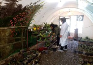 راه‌اندازی اولین سایت پرورش نشاء و گیاهان آپارتمانی در بوستان بانوان منطقه ۱۹