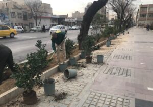 کاشت ٢٠٠ اصله درختچه با رویکرد مدیریت بهینه مصرف آب