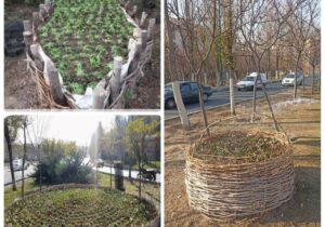 ساخت سبد گل با استفاده از ضایعات هرس شاخ و برگهای درختان در منطقه ۴