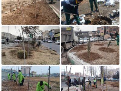 ادامه عملیات کاشت درخت در بوستان‌ها، بزرگراه‌ها و معابر فضاهای سبز شهری منطقه