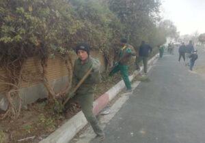 کاشت بیش از ۳ هزار درختچه در مجموعه ورزشی آفتاب انقلاب منطقه۱۳
