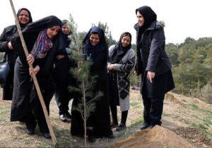 کاشت درخت توسط شهروندان در بوستان چیتگر