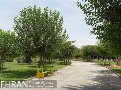 درختان ارزشمند تهران به عنوان میراث طبیعی ثبت می‌شوند