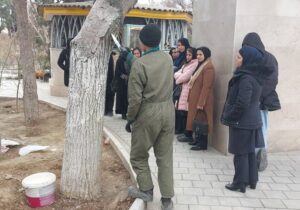 اجرای طرح باندینگ و نگهداری درختان در منطقه۱۳