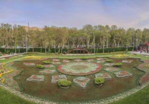 بزرگترین فرش گل کشور با ۴۰ هزار گل رنگارنگ
