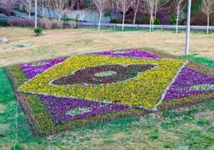 ایجاد ۴۵۶ قطعه فرش‌ گل و کاشت لاله در پایتخت