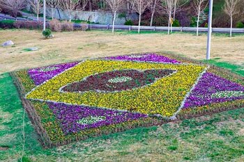 ایجاد ۴۵۶ قطعه فرش‌ گل و کاشت لاله در پایتخت