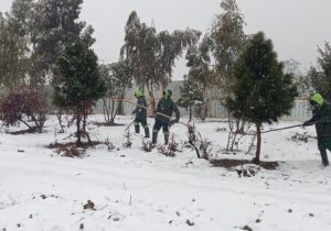 ۱۸۰ نیروی فضای سبز منطقه ۱۹ مشغول برف‌تکانی از درختان بوستان‌ها هستند
