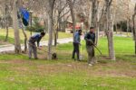 اتخاذ تدابیر شهرداری برای زیباسازی پارک‌ها در ایام نوروز