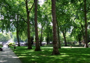 کارگاه‌های تخصصی و آموزشی فضای سبز شهری در اصفهان برگزار شد