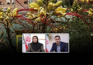 شهرداری منطقه ۱۷ تهران در جمع برگزیدگان رویداد علمی جهان