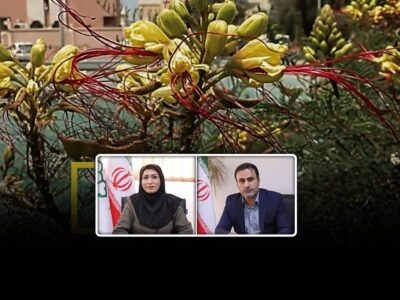 شهرداری منطقه ۱۷ تهران در جمع برگزیدگان رویداد علمی جهان