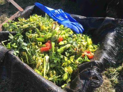 بازیافت ضایعات مواد غذایی در واشنگتن