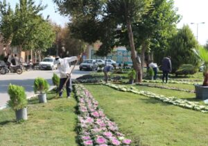 کاشت ۲۰ هزار گل در سطح منطقه ۱۱ اصفهان