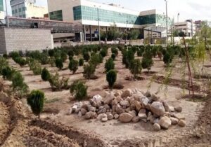 آغاز پروژه توسعه فضای سبز در میدان شهید بهشتی