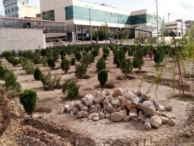 آغاز پروژه توسعه فضای سبز در میدان شهید بهشتی