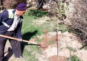 کاشت ۲۰۰ اصله درخت در حاشیه مهرانه رود