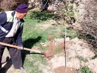 کاشت ۲۰۰ اصله درخت در حاشیه مهرانه رود