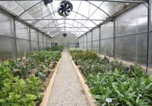 افتتاح باغ تخصصی گیاهشناسی و مزارع خانواده در منطقه ۱۴
