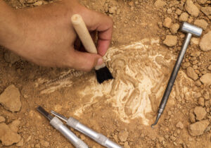 نقش مهم باستان‌شناسی شهرداری در کهن‌شهرها
