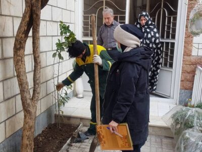 هدیه بیش از ۱۰ هزار اصله درخت به شهروندان
