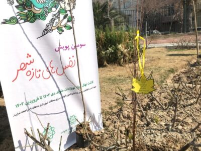 برگزاری سومین پویش نفس‌های تازه شهر در بوستان‌های منطقه ۹