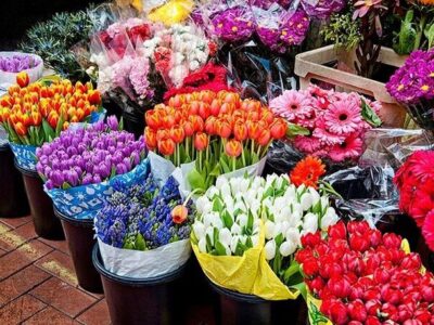 بازار گل شادمان آماده خدمت‌رسانی به شهروندان منطقه۲