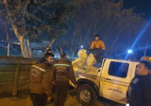 جمع‌آوری زباله‌گردها و کتفی‌ها در منطقه ۱۲