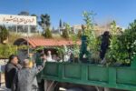 توزیع بیش از ۲ هزار اصله درخت ثمری در بین شهروندان ساکن در منطقه یازده شیراز